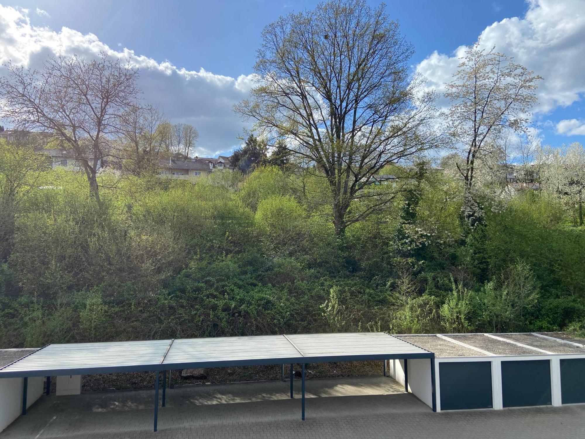 Ferienwohnung Am Erbacher Muemlingufer Erbach  Dış mekan fotoğraf